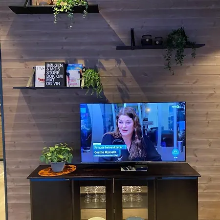 Сasa de vacaciones Mountain *